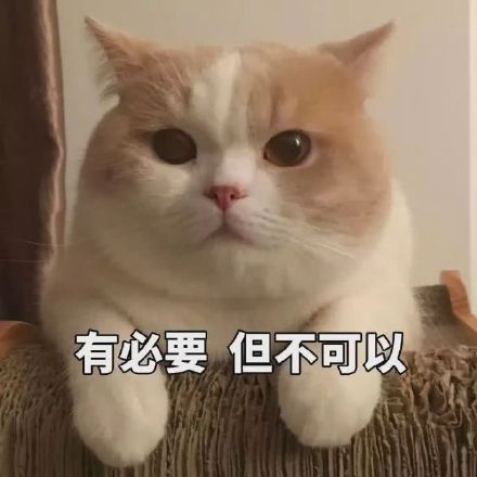 猫咪表情包合集来啦！这里整理了多款软萌又自带梗的猫咪表情，涵盖撒娇、认错、摆烂等多种日常聊天常用的情绪表达，用户可以在发表情网站直接下载使用。
