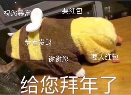 拜年回礼表情包来啦！“给您拜年了”配“给您拜回去”超应景