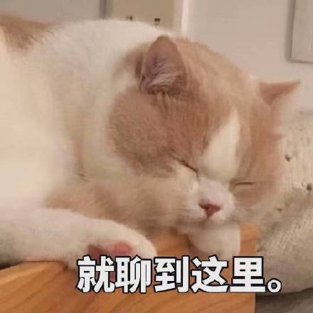 软萌治愈！这套小猫咪表情包太适合日常聊天了