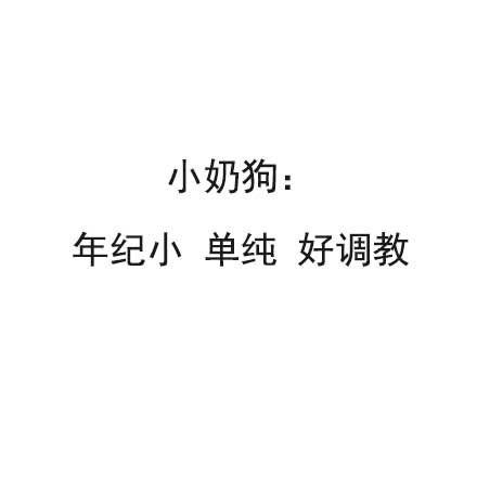 快来看看你的性格是犬系还是猫系？