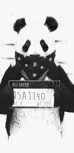 快来挑！这组软乎乎的卡通壁纸太治愈了