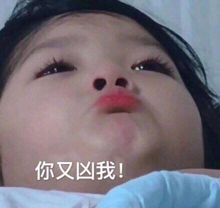 权律二表情包合集来啦