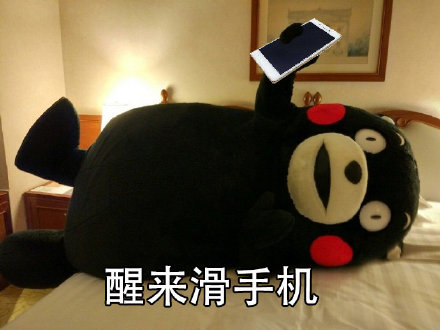 这套熊本熊表情包，完美还原了我的周末日常