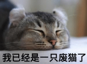 打工人摸鱼必备！