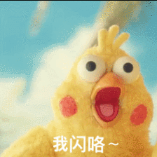 超好用的鹦鹉兄弟动图表情包合集