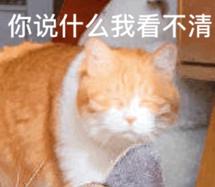 超实用橘猫聊天表情包合集