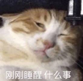起床脸表情包合集