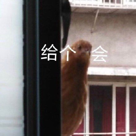 7月16日斗图表情包合集来啦