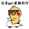 火出圈的小黄鸡开摩托表情包，斗图党速存