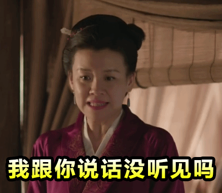 《知否》王大娘子王若弗专属动图表情包合集