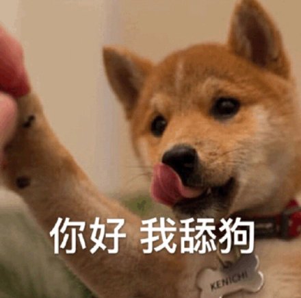 快乐狗子表情包合集来啦