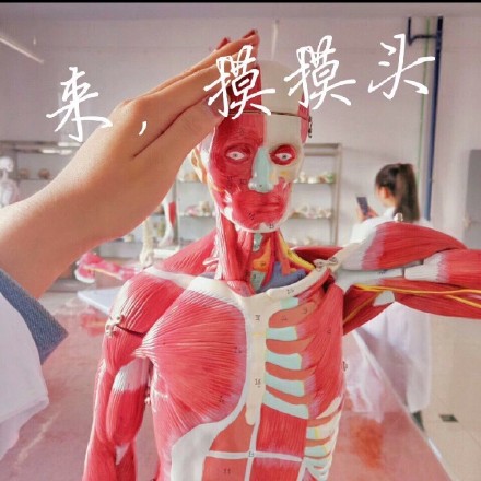 医学生专属表情包合集来啦！