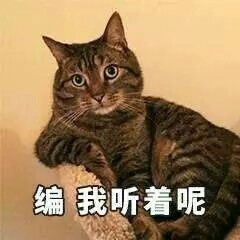 猫咪表情包合集来啦，斗图不用愁