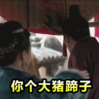 《知否》王大娘子王若弗专属动图表情包合集