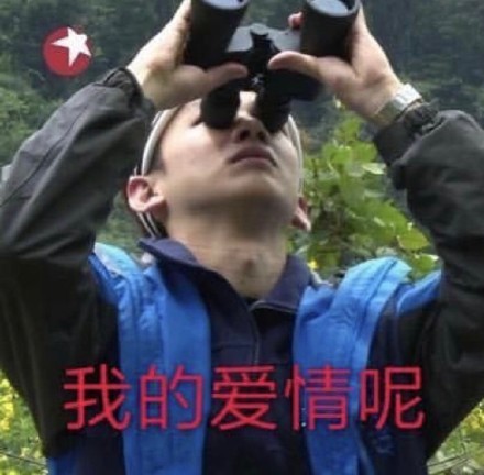 情人节专属斗图素材来啦