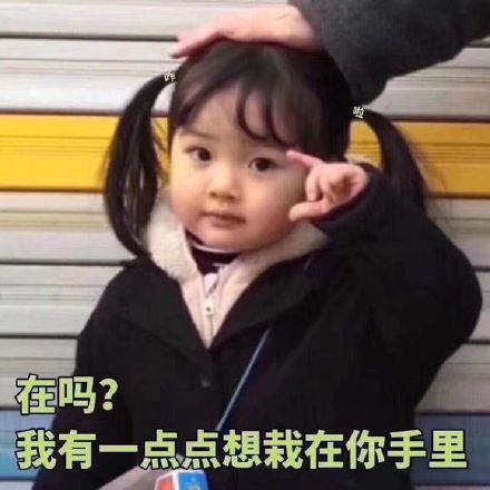植树节专属表情包合集来啦