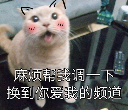 铲屎官看过来！这套猫咪聊天表情包太会整活了