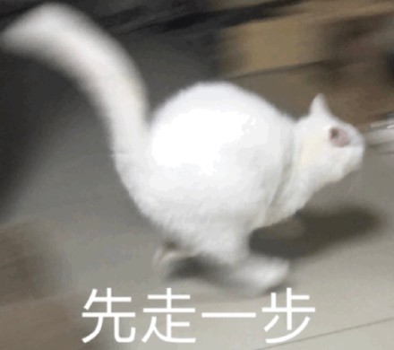 网友都在找的猫猫表情包合集