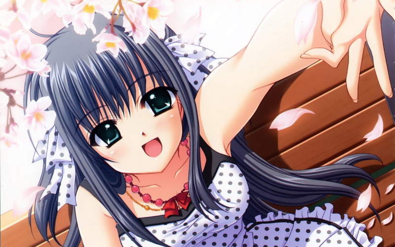 五彩静物高清壁纸合集