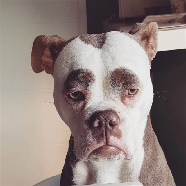 看一眼就笑喷！这些修勾长在笑点上了