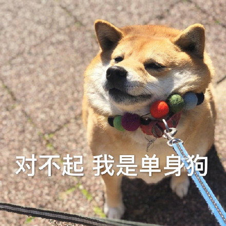 单身狗配Doge的表情包合集来了