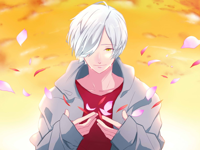 高清电脑桌面壁纸79