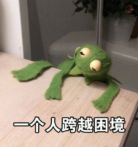 蛙蛙表情包合集：一个人独处的松弛感拉满