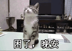 猫咪版晚安邀约表情包来啦