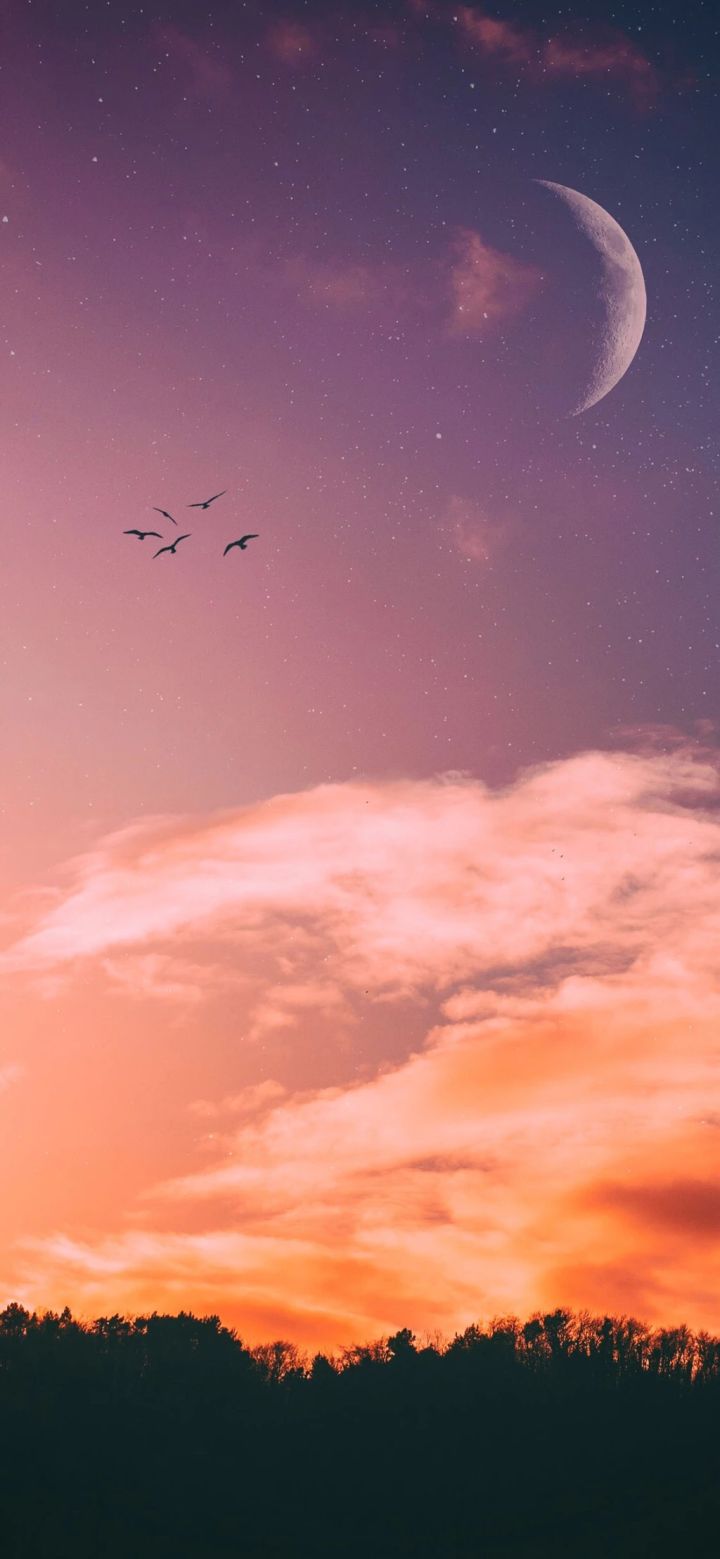 今天整理了一波超适合换的手机壁纸