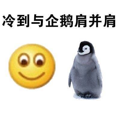 天气太冷了！这套表情包帮你吐槽降温天