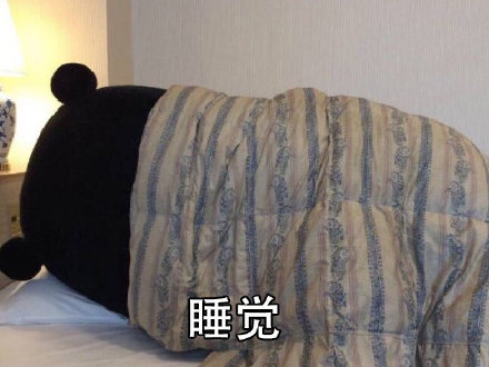 这套熊本熊表情包，完美还原了我的周末日常