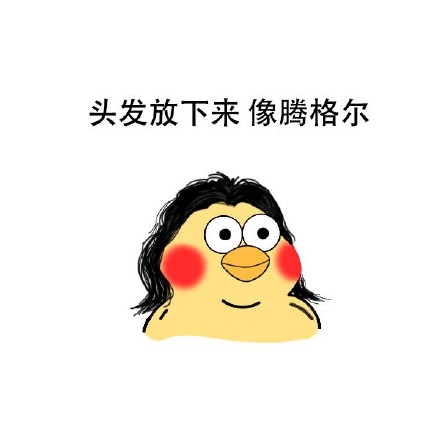 鹦鹉兄弟表情包合集来啦，斗图必备！