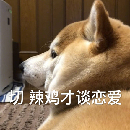 单身狗配Doge的表情包合集来了