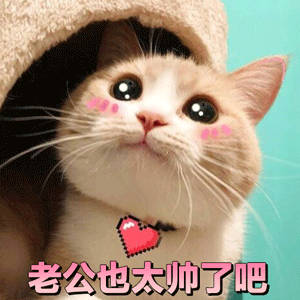 哄老公神器！这套萌系表情包直接拿捏另一半