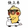 火出圈的小黄鸡开摩托表情包，斗图党速存