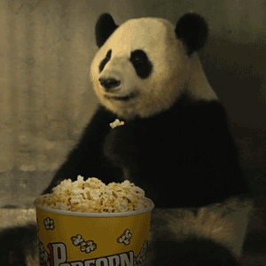 软萌大熊猫表情包合集来啦