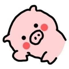 软萌猪猪表情包来啦！