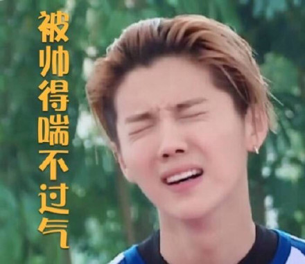 鹿晗专属表情包来啦，快存起来斗图用