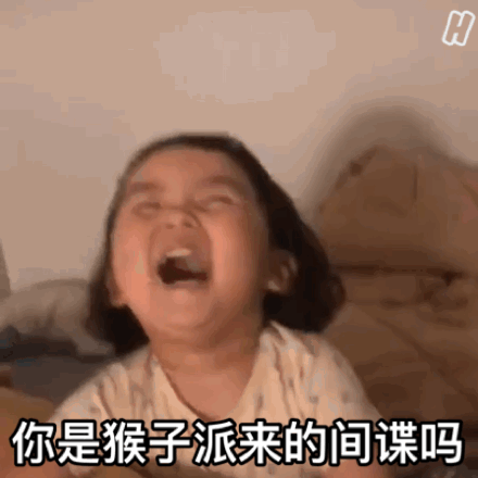 超萌罗熙GIF表情包合集