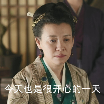 《知否》大娘子表情包合集 聊天斗图都能用