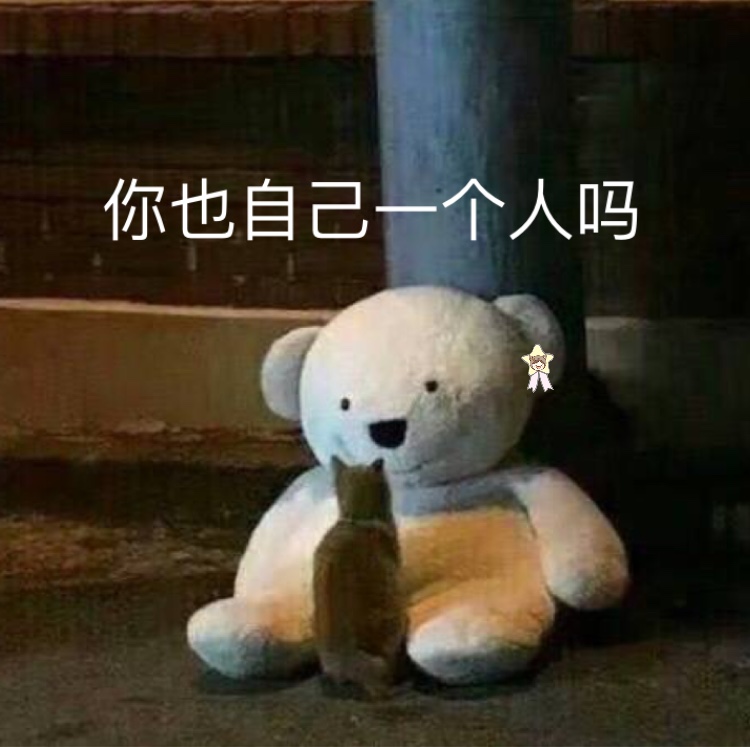 猫咪和玩具熊的暖心日常