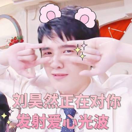刘昊然专属表情包合集来啦