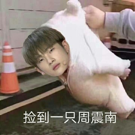 周震南专属表情包合集来啦