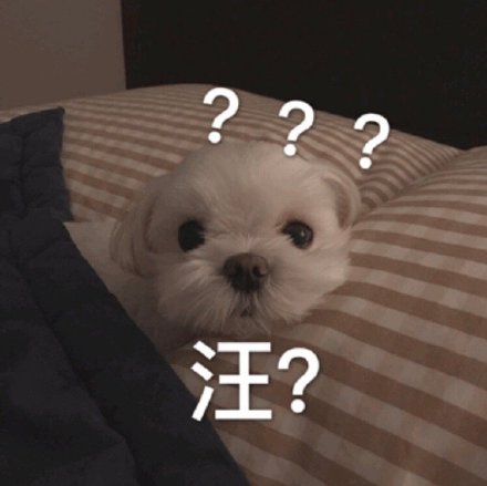 快乐狗子表情包合集来啦