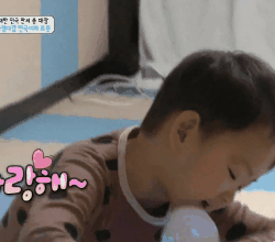 这波宋民国动图，斗图党速存