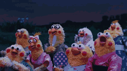 超好用的鹦鹉兄弟动图表情包合集