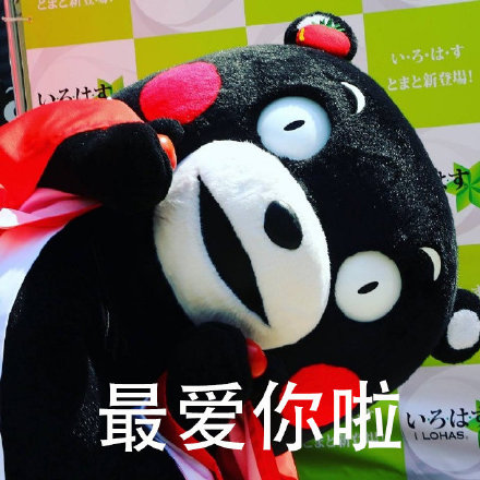 软萌暴击！熊本熊撒娇六连表情包来啦