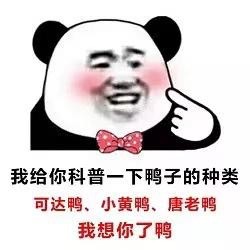 用熊猫头土味情话表情包，撩得人招架不住