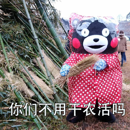 打工人专属吐槽表情包合集！你是不是也想问“你们不用干活吗？”