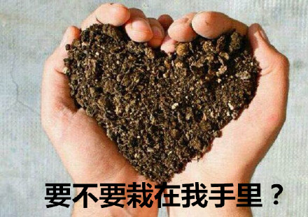 植树节专属表情包合集来啦